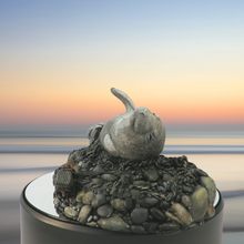 Load image into Gallery viewer, Seal sculpture: Morning Mist