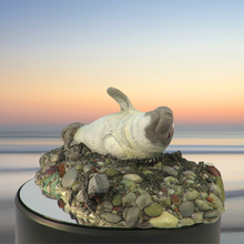 Load image into Gallery viewer, Seal sculpture: Albino Badger