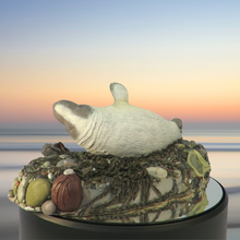 Load image into Gallery viewer, Seal sculpture: Albino Badger
