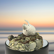 Load image into Gallery viewer, Seal sculpture: Grey Muzzle Pup