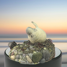 Load image into Gallery viewer, Seal sculpture: Pale Badger Pup
