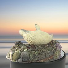 Load image into Gallery viewer, Seal sculpture: Pale Badger Pup