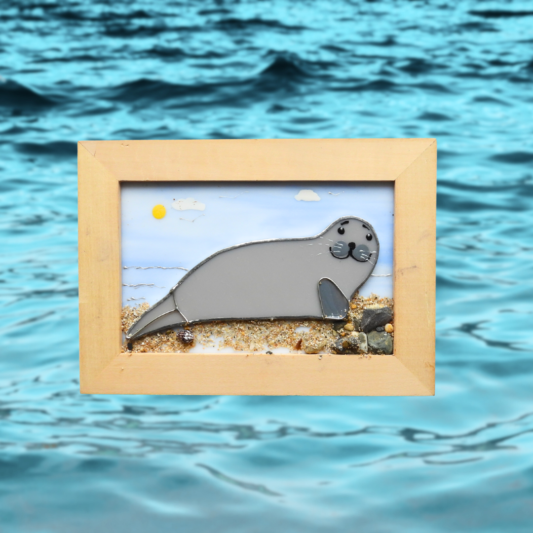 Glass Seal Pictures by Rosalyn Cook – Seal Research Trust