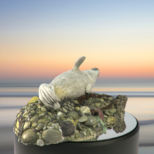 Load image into Gallery viewer, Seal sculpture: Grey Muzzle Pup