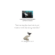 Load image into Gallery viewer, Card - Wild Seals