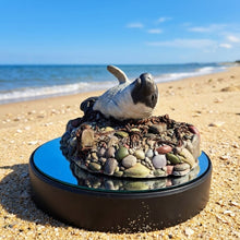 Load image into Gallery viewer, Seal sculpture: 'Panda' Pup