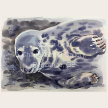 Load image into Gallery viewer, Card - Sarah Bell Watercolour Seal Collection